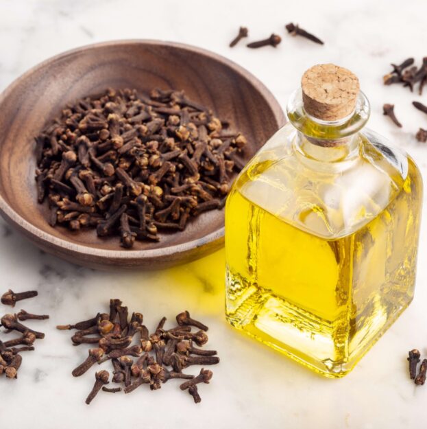 Clove Bud Oil