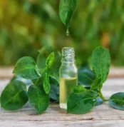 tea tree oil